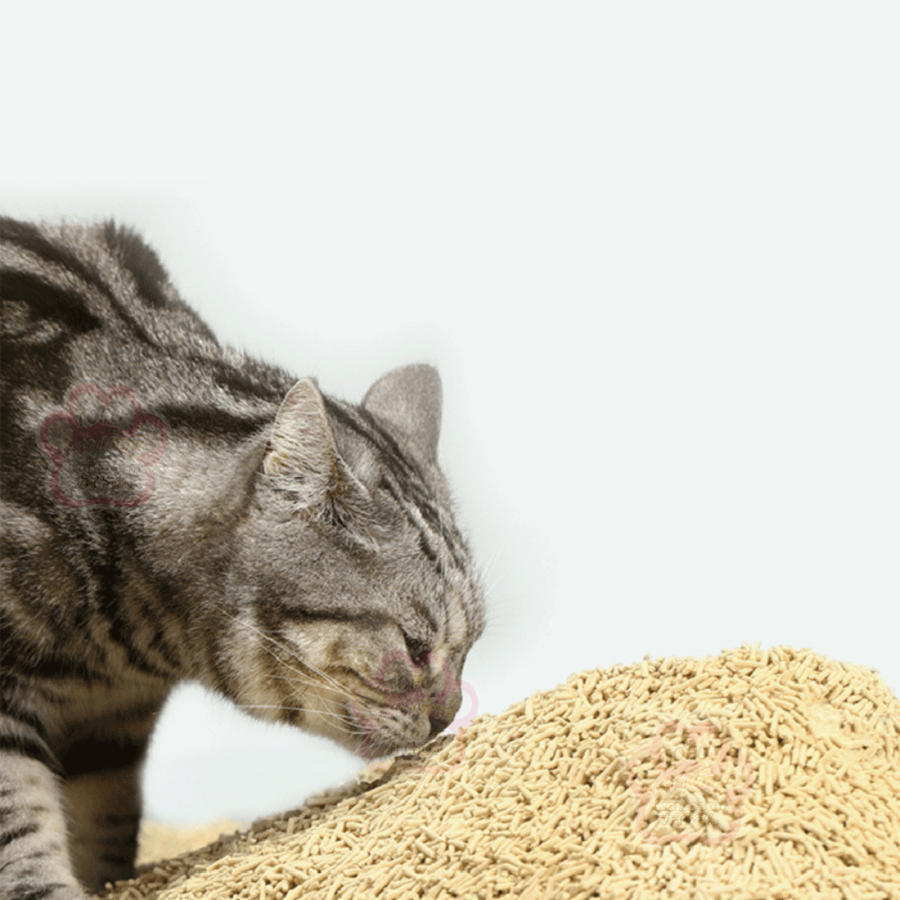 Tofu Cat Litter