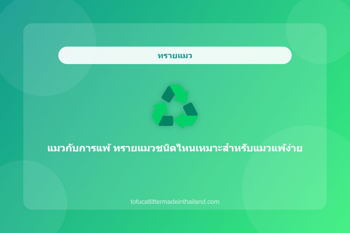 แมวกับการแพ้ ทรายแมวชนิดไหนเหมาะสำหรับแมวแพ้ง่าย