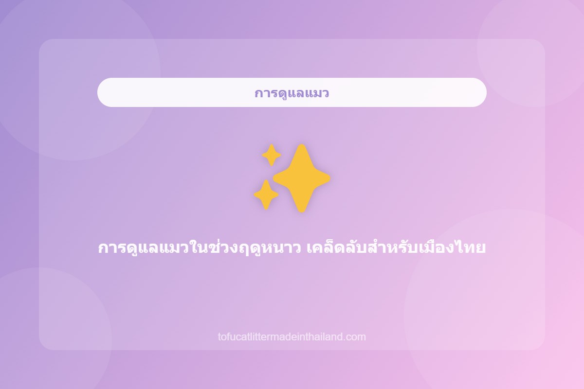 การดูแลแมวในช่วงฤดูหนาว เคล็ดลับสำหรับเมืองไทย