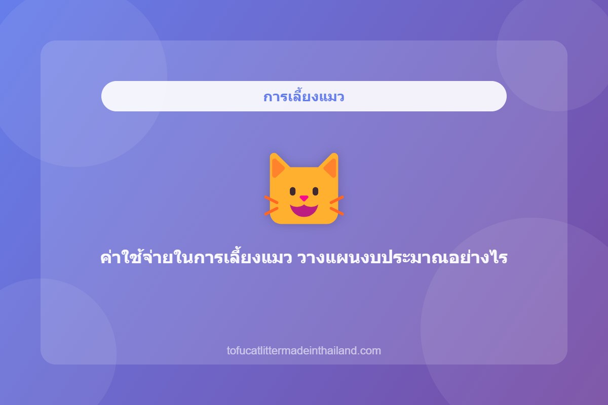 ค่าใช้จ่ายในการเลี้ยงแมว วางแผนงบประมาณอย่างไร