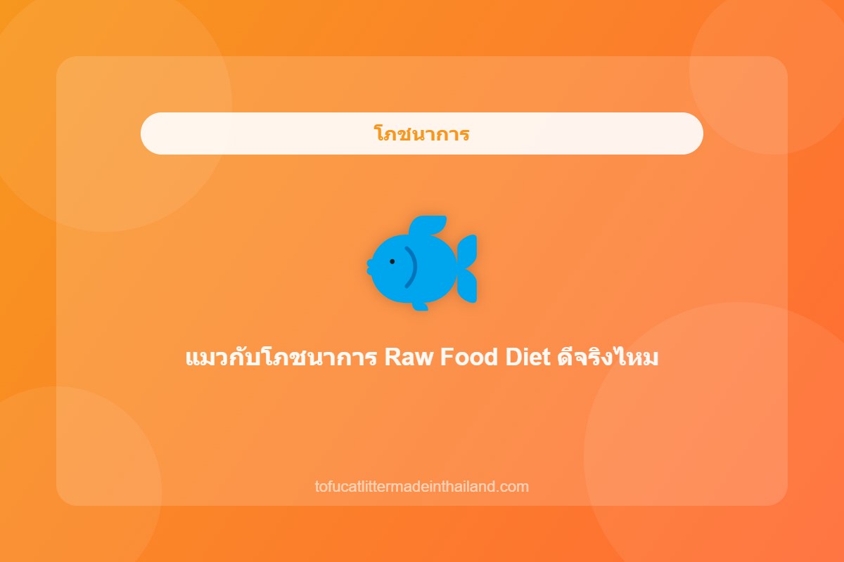 แมวกับโภชนาการ Raw Food Diet ดีจริงไหม