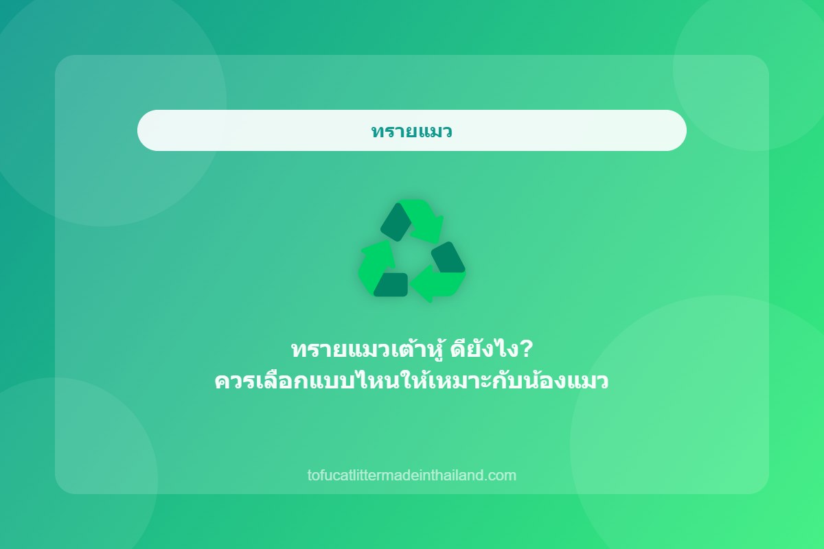 ทรายแมวเต้าหู้ ดียังไง? ควรเลือกแบบไหนให้เหมาะกับน้องแมว