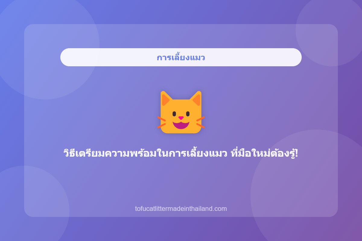 วิธีเตรียมความพร้อมในการเลี้ยงแมว ที่มือใหม่ต้องรู้!